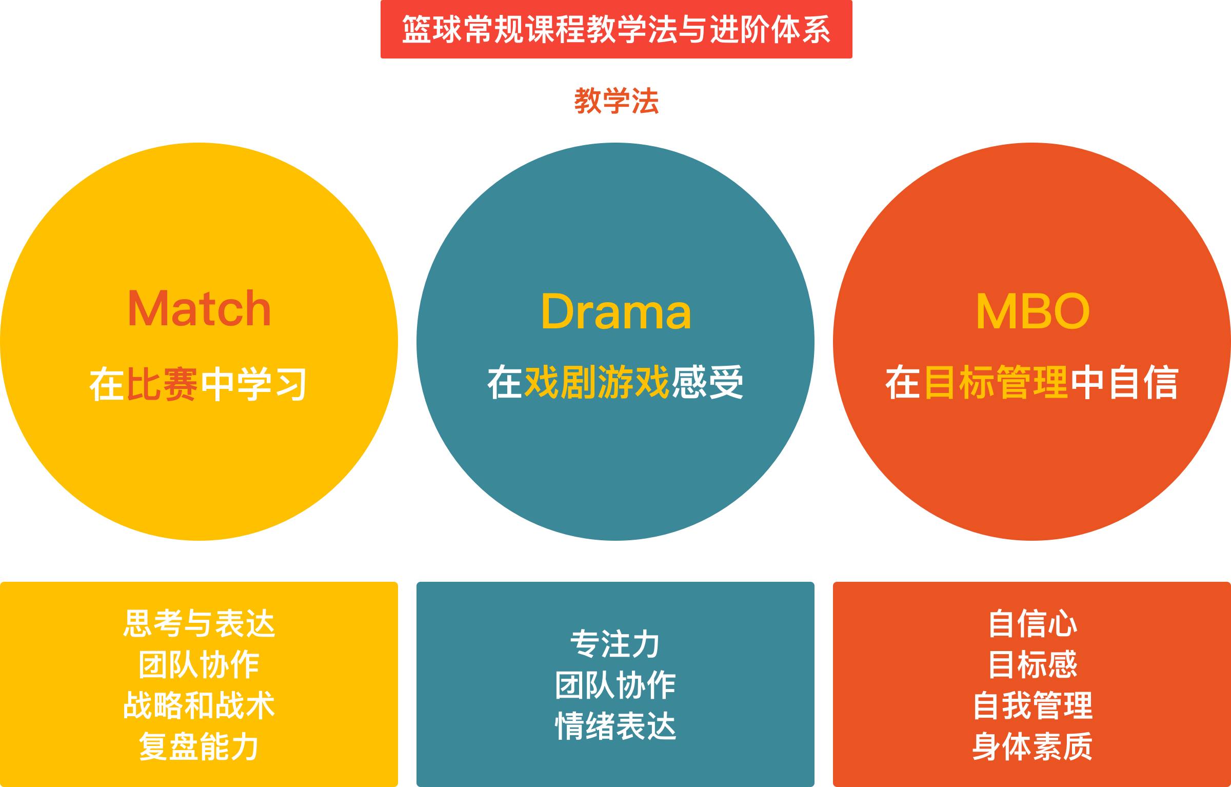 幼儿体系，少儿体系，青训体系