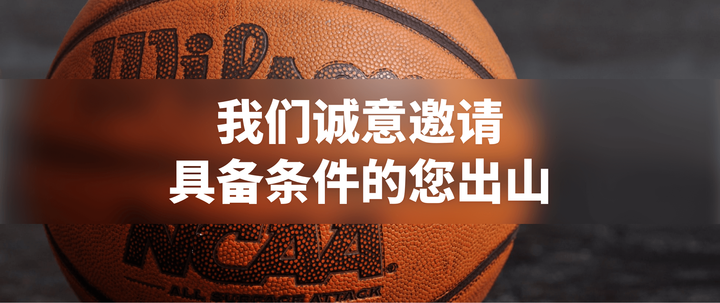 与我赛尔一起,联合创业，营造财富